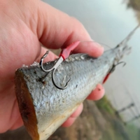 Drennan E-SOX Bait Trace